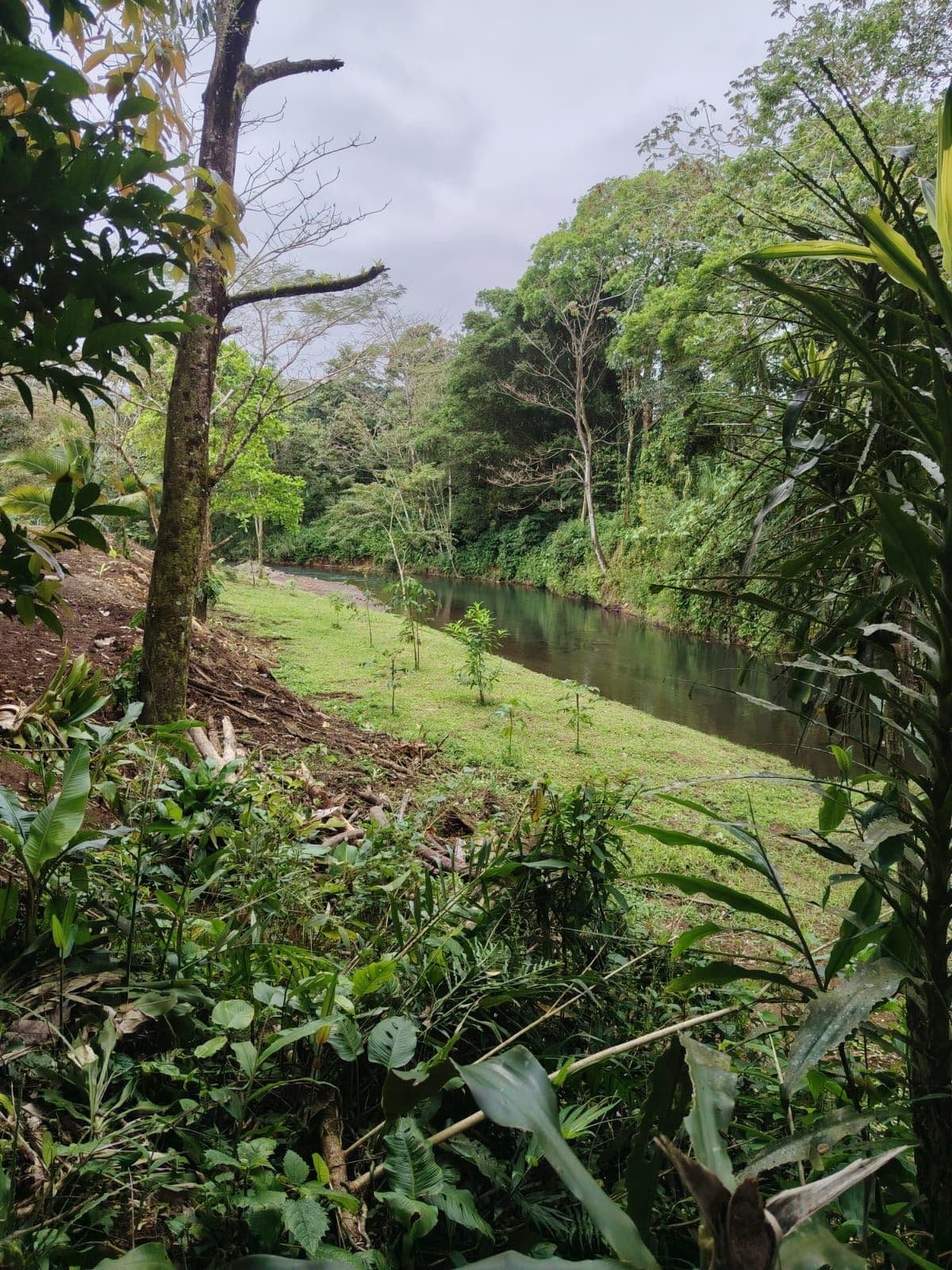 Eco-Tourism Property for Sale – 9,543 m² in Bijagua, Upala, photo 33