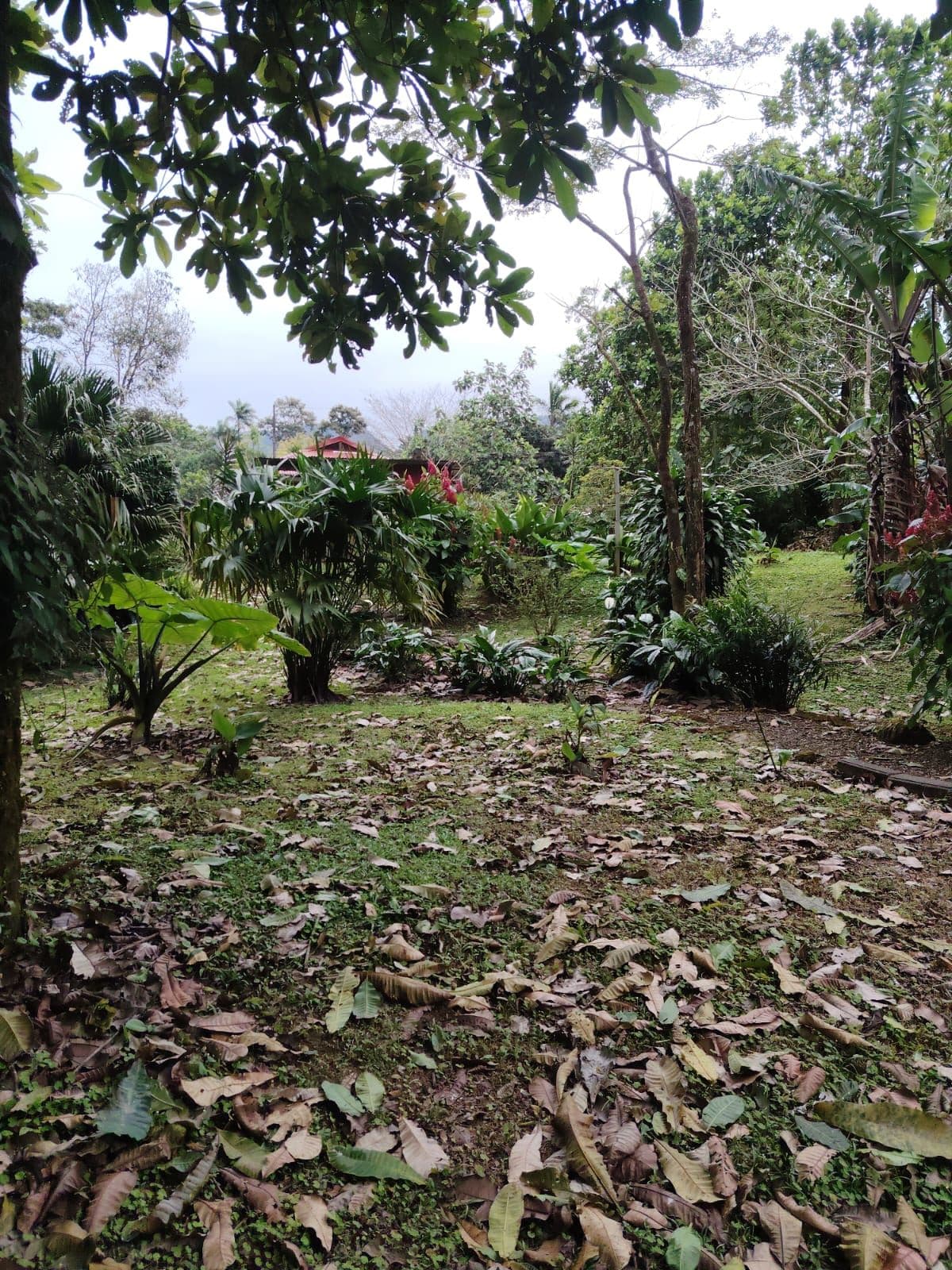 Eco-Tourism Property for Sale – 9,543 m² in Bijagua, Upala, photo 22