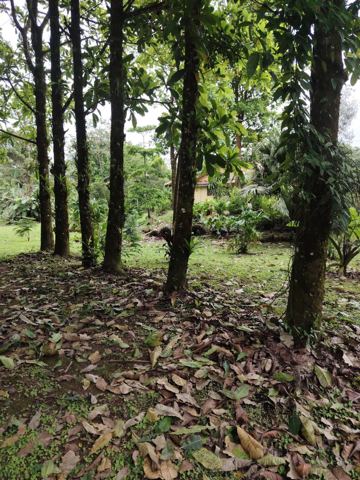 Eco-Tourism Property for Sale – 9,543 m² in Bijagua, Upala, photo 34