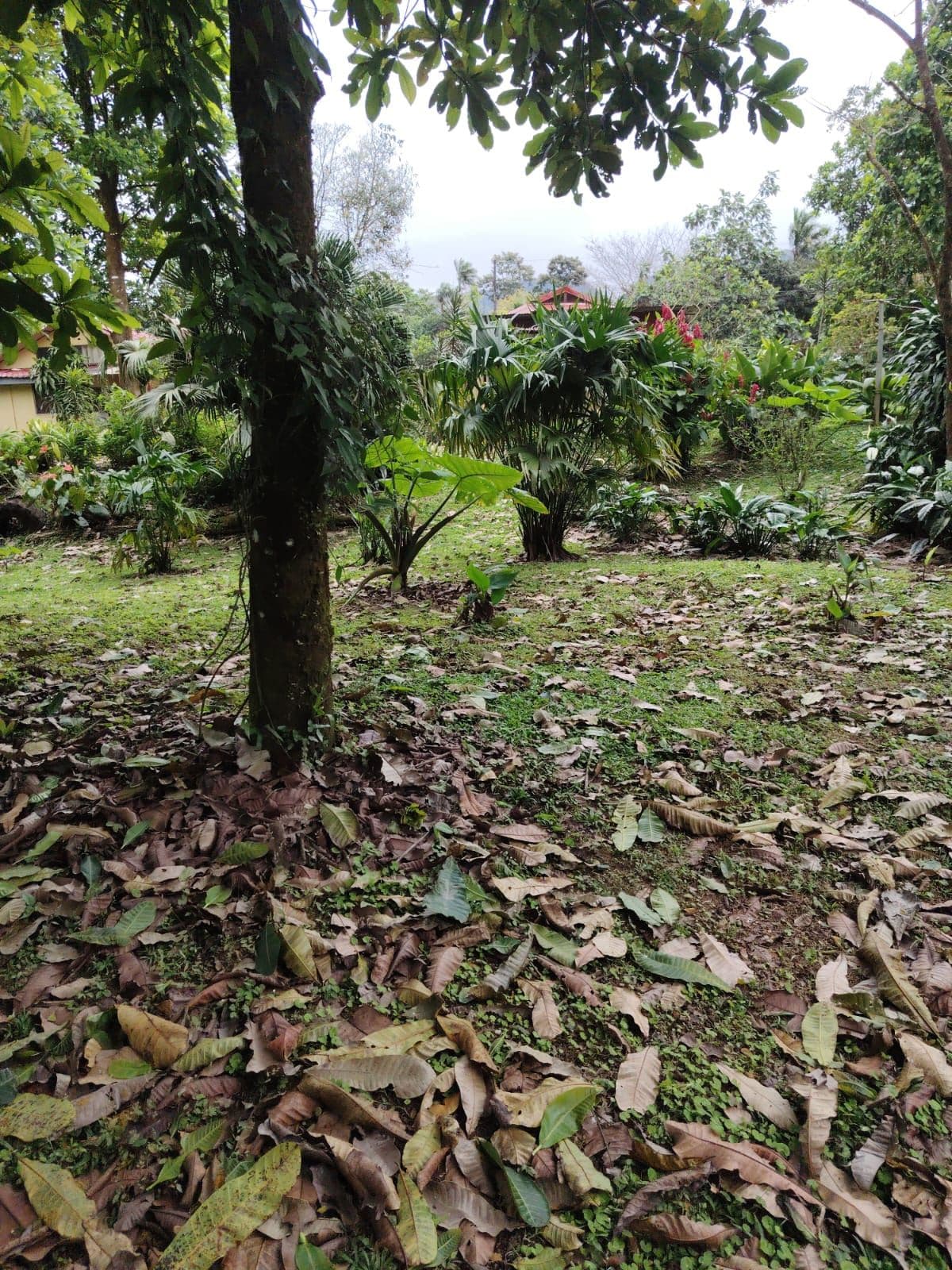 Eco-Tourism Property for Sale – 9,543 m² in Bijagua, Upala, photo 30