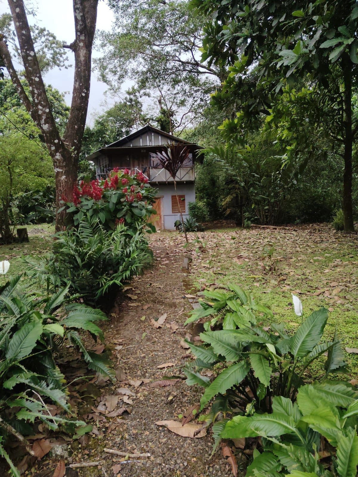 Eco-Tourism Property for Sale – 9,543 m² in Bijagua, Upala, photo 2