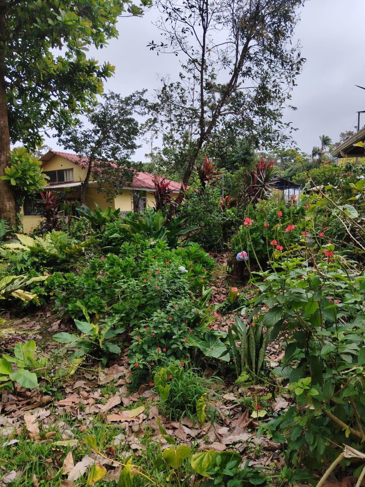 Eco-Tourism Property for Sale – 9,543 m² in Bijagua, Upala, photo 27