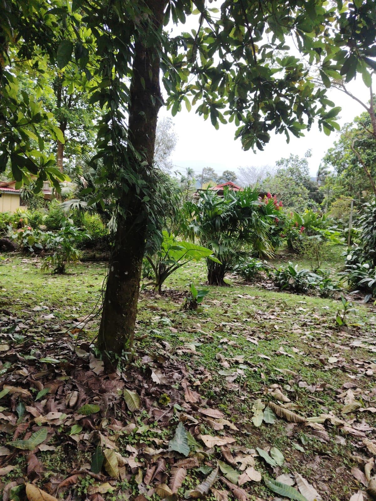 Eco-Tourism Property for Sale – 9,543 m² in Bijagua, Upala, photo 20