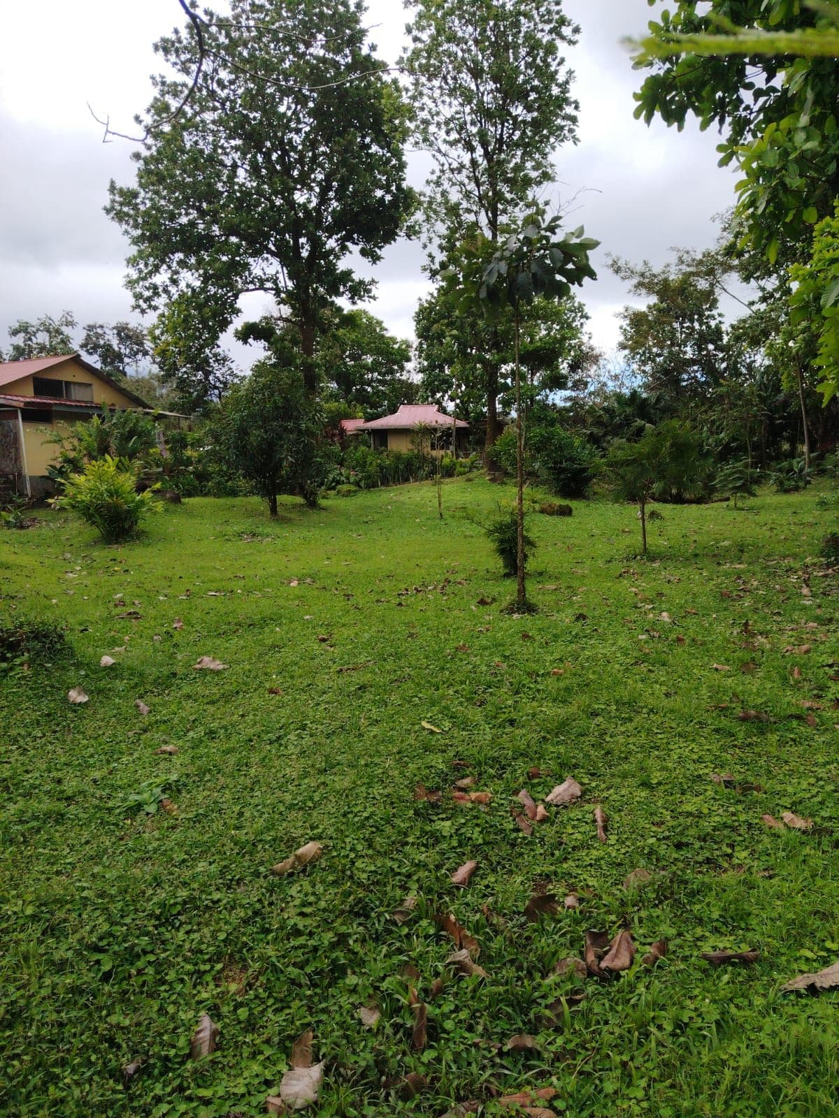 Eco-Tourism Property for Sale – 9,543 m² in Bijagua, Upala, photo 23