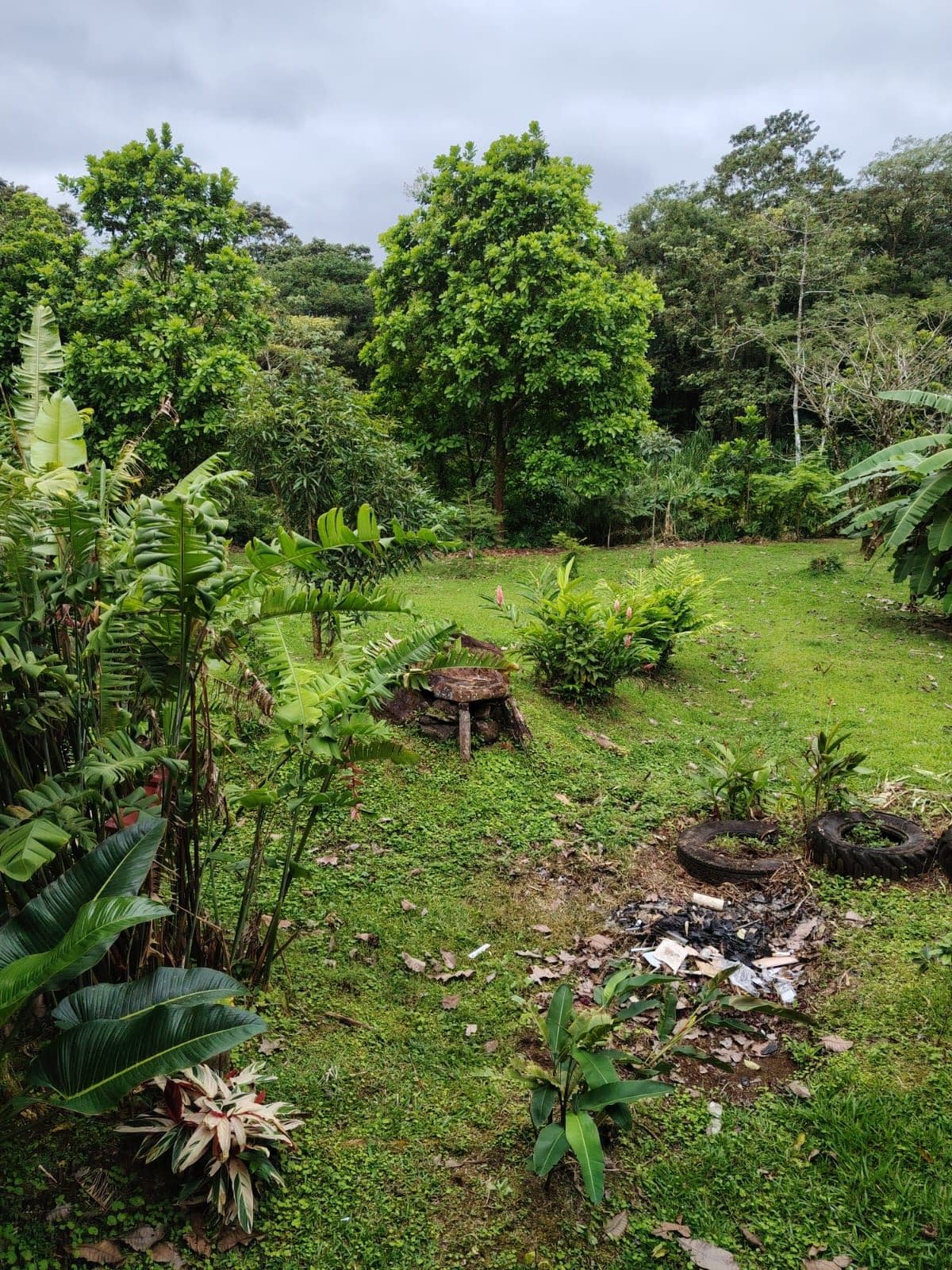 Eco-Tourism Property for Sale – 9,543 m² in Bijagua, Upala, photo 36