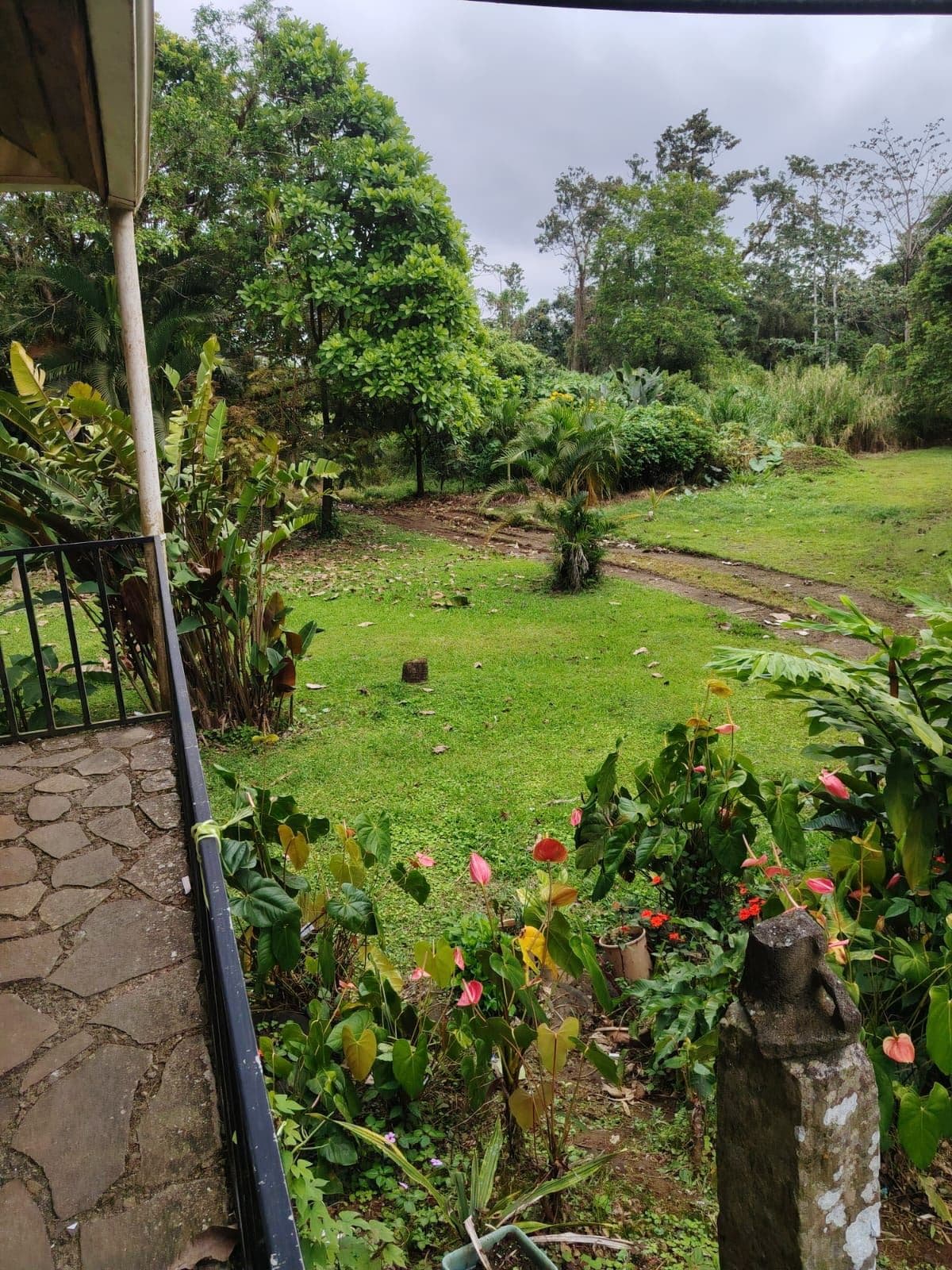 Eco-Tourism Property for Sale – 9,543 m² in Bijagua, Upala, photo 18