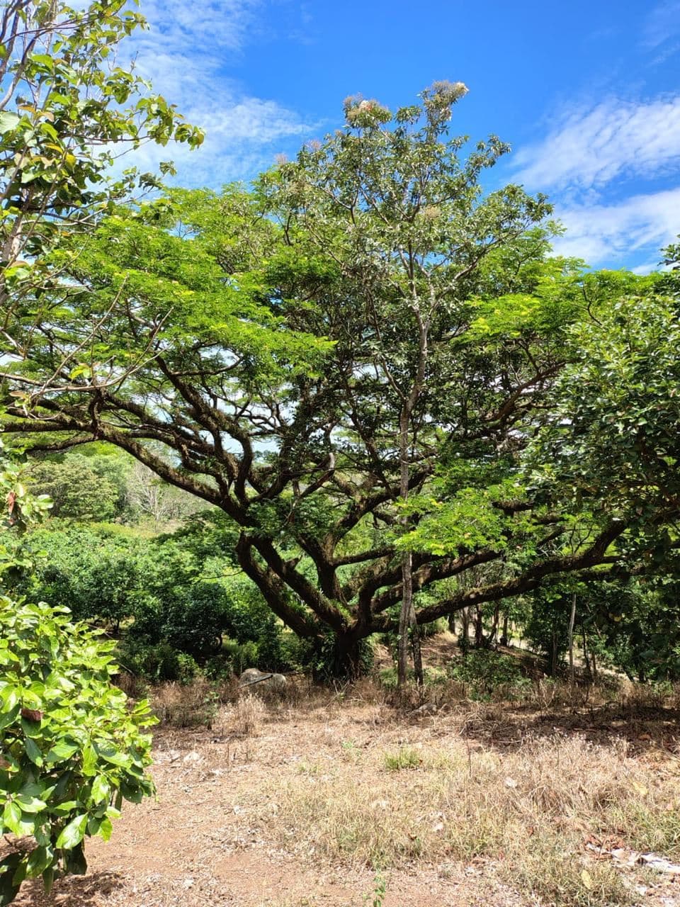 Vacation Property for Sale | Cerro Tobar, Tilarán, Guanacaste, photo 7