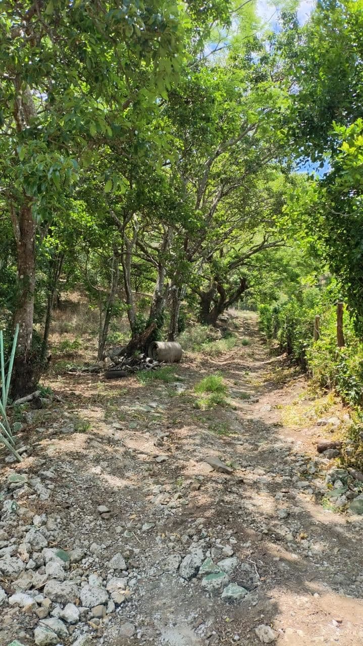 Vacation Property for Sale | Cerro Tobar, Tilarán, Guanacaste, photo 10
