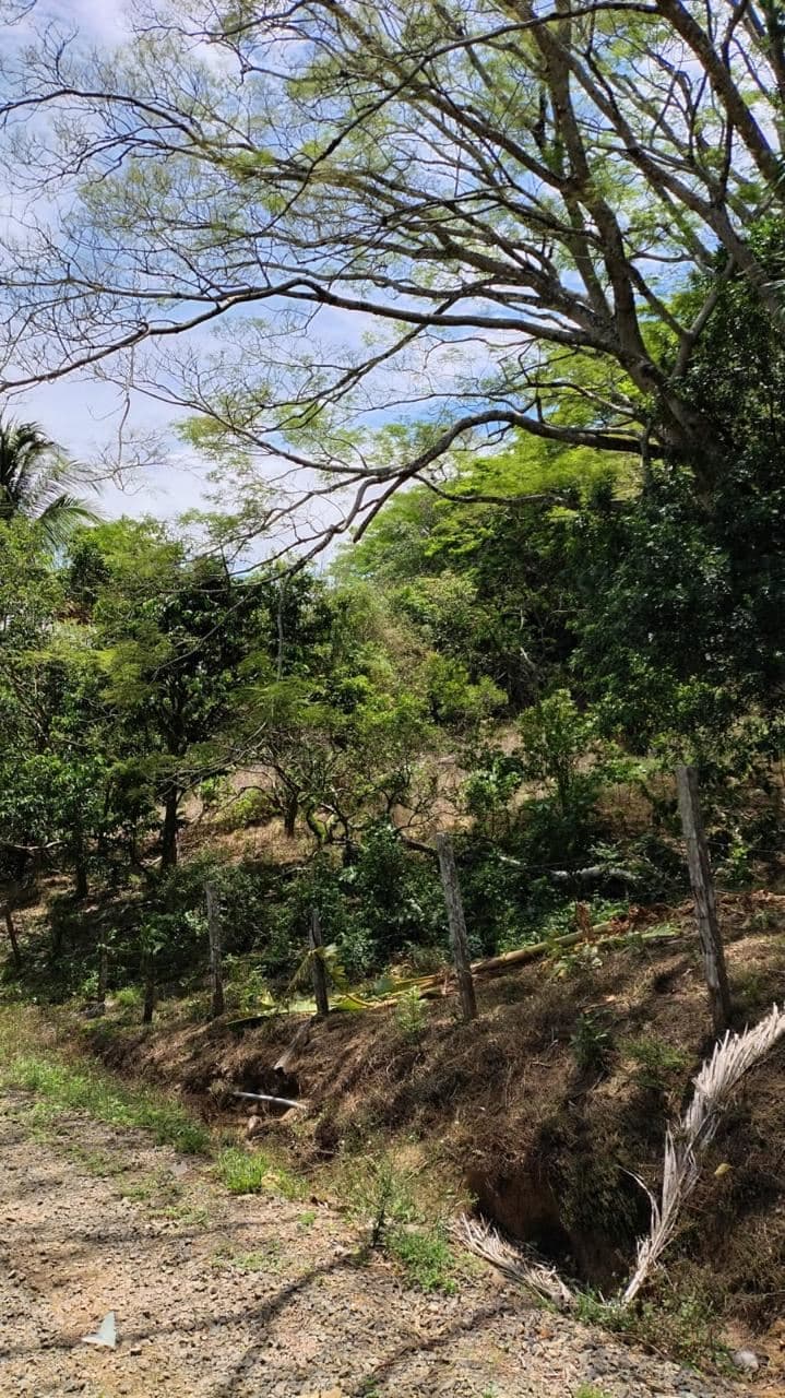 Vacation Property for Sale | Cerro Tobar, Tilarán, Guanacaste, photo 6