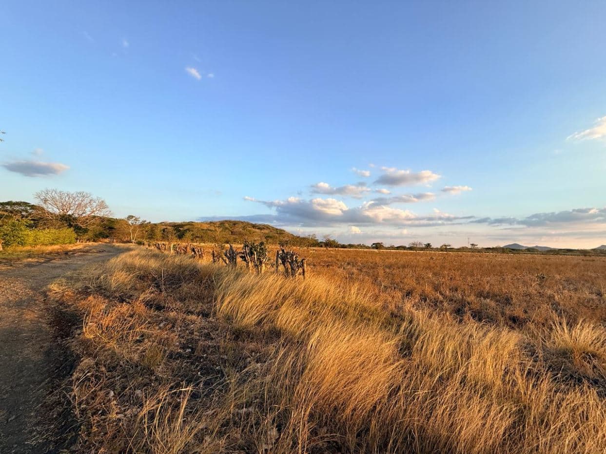 Agricultural Land for Sale in Abangares, Guanacaste – 8 Hectares, photo 3