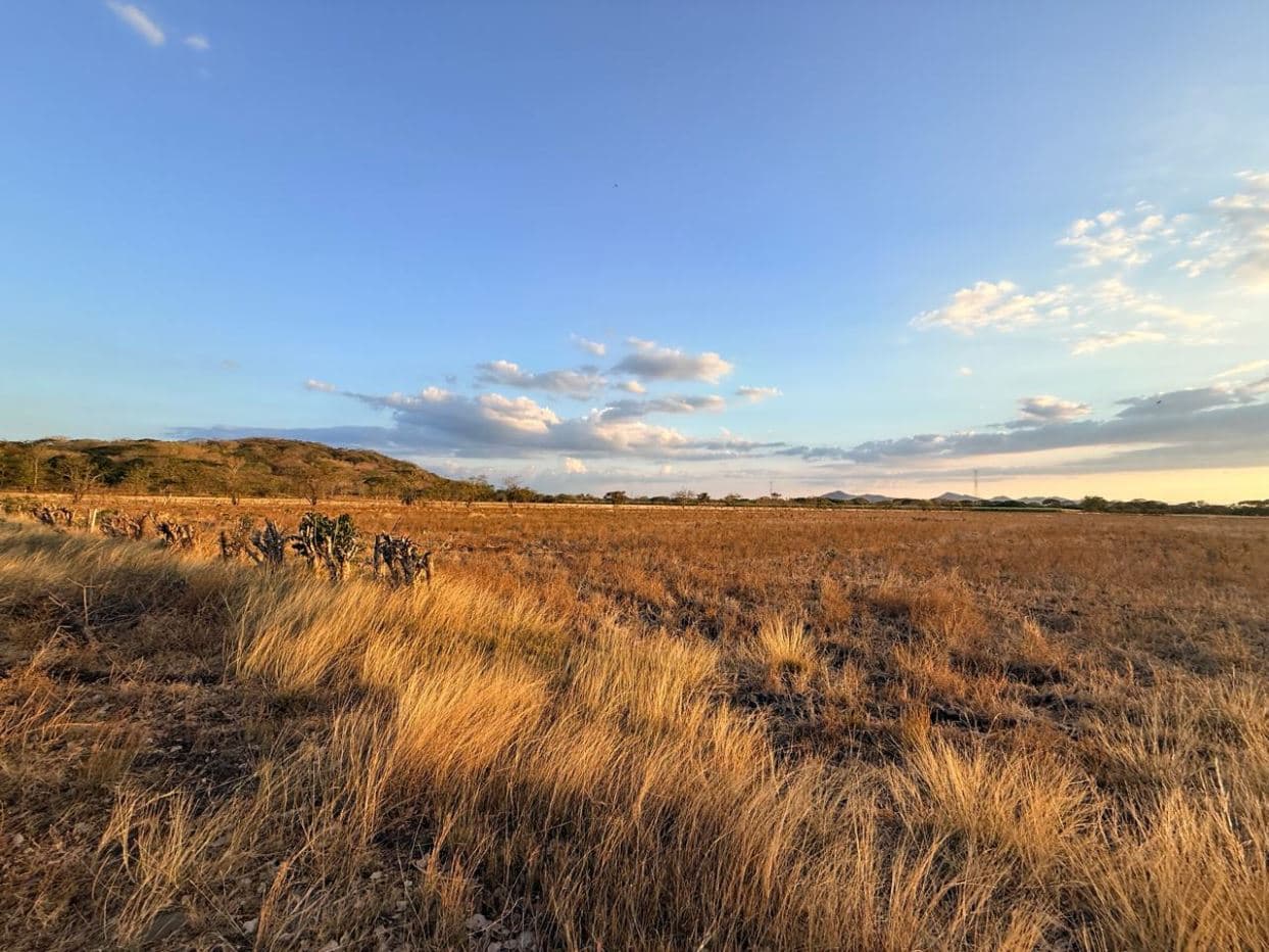 Agricultural Land for Sale in Abangares, Guanacaste – 8 Hectares, photo 4