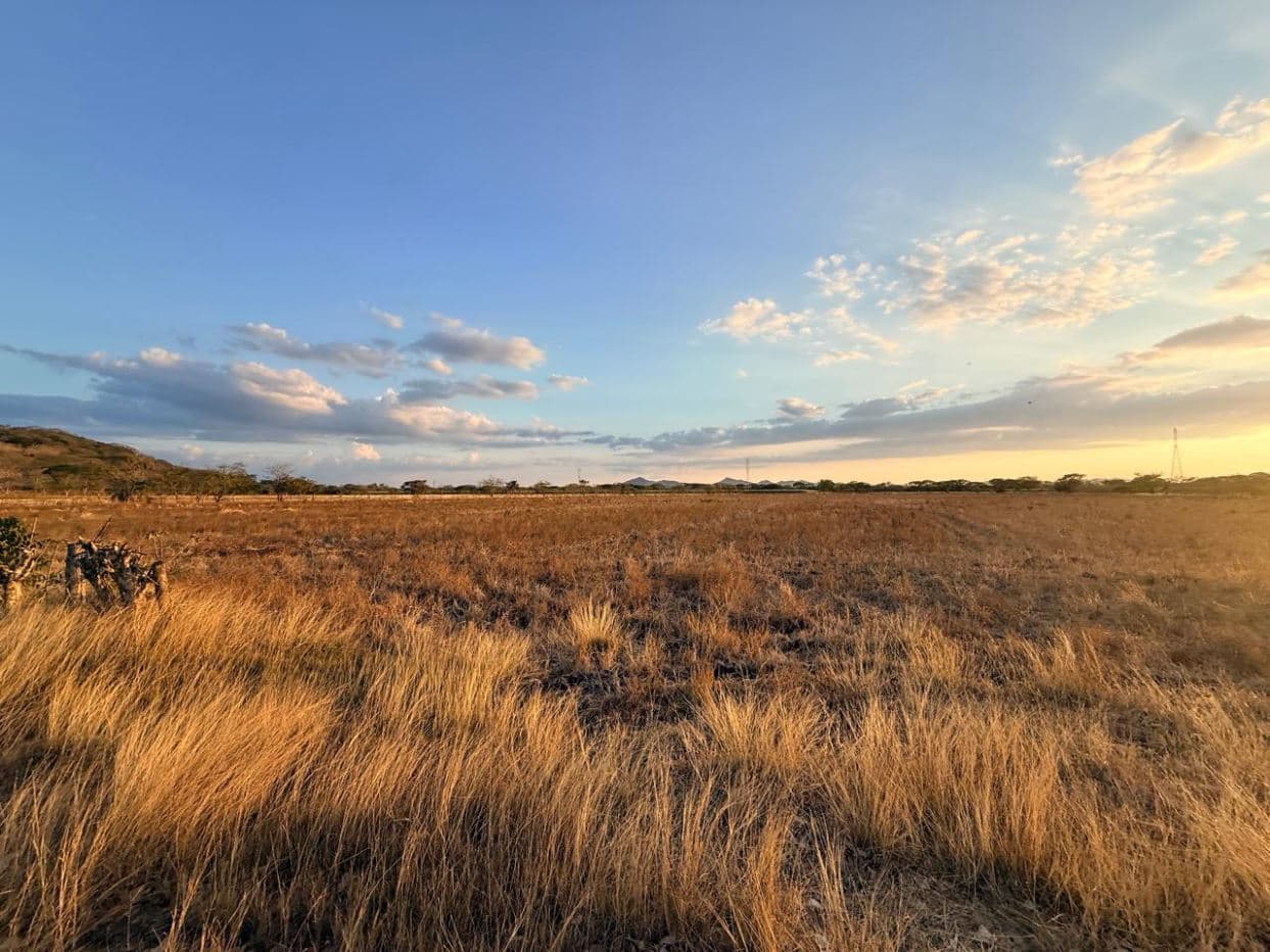 Agricultural Land for Sale in Abangares, Guanacaste – 8 Hectares, photo 2
