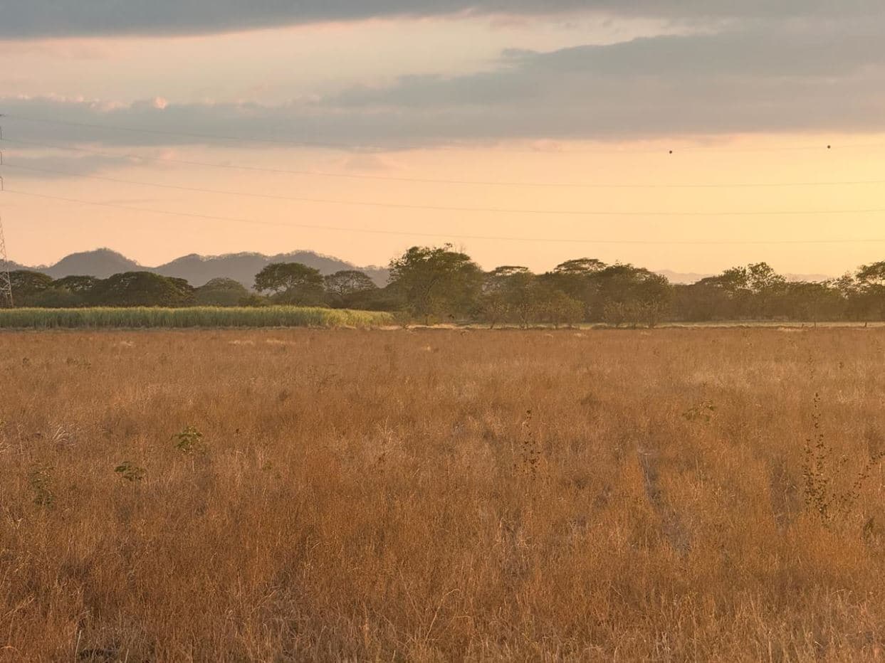 Agricultural Land for Sale in Abangares, Guanacaste – 8 Hectares, photo 5