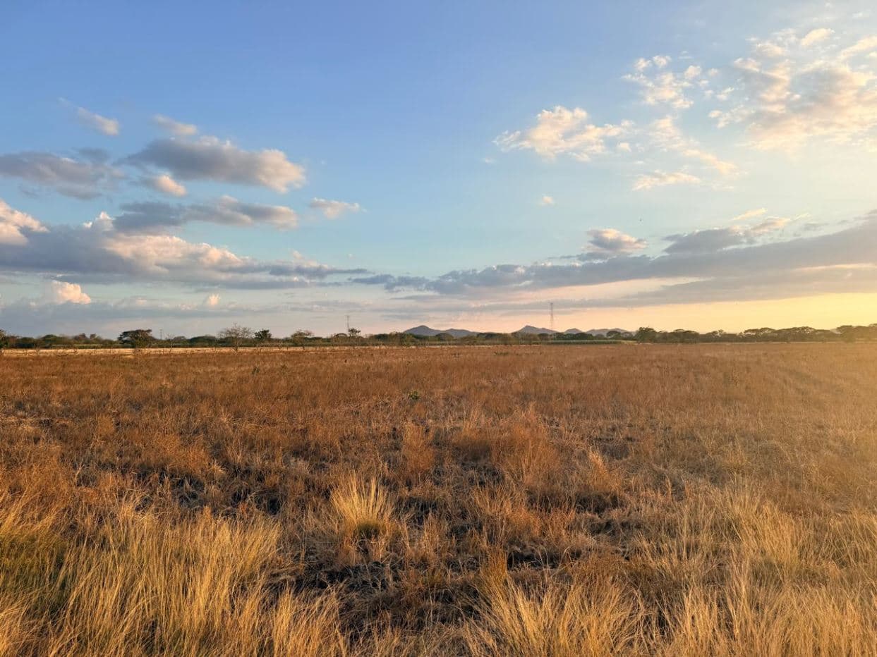 Agricultural Land for Sale in Abangares, Guanacaste – 8 Hectares, photo 7