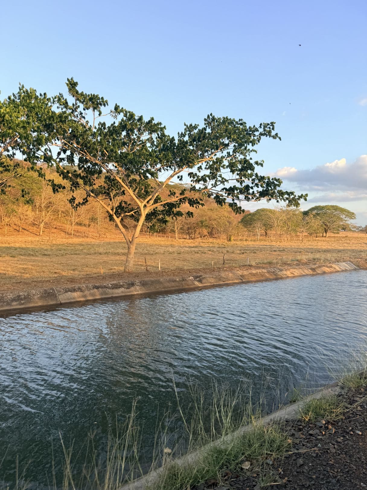 Agricultural Land for Sale in Abangares, Guanacaste – 8 Hectares, photo 9