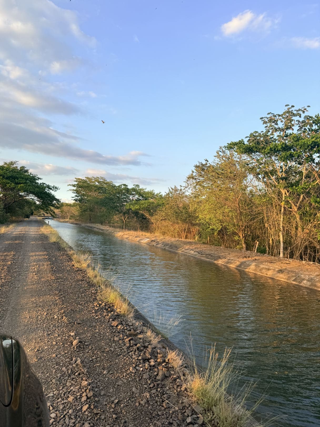 Agricultural Land for Sale in Abangares, Guanacaste – 8 Hectares, photo 13