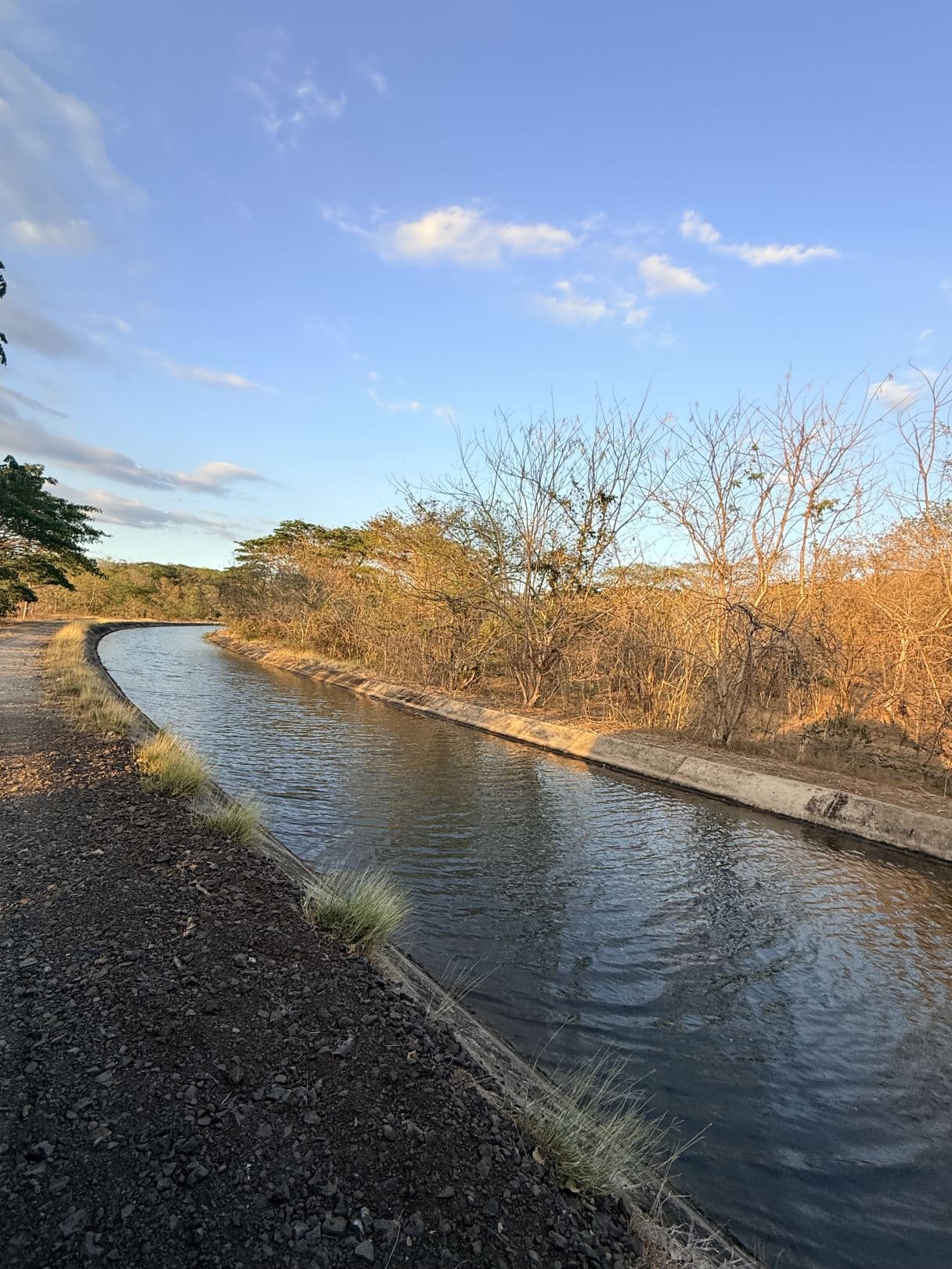 Agricultural Land for Sale in Abangares, Guanacaste – 8 Hectares, photo 14