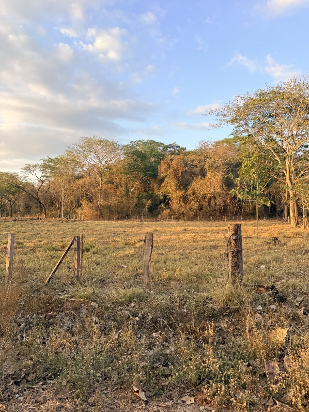 Agricultural Land for Sale in Abangares, Guanacaste – 8 Hectares, photo 10