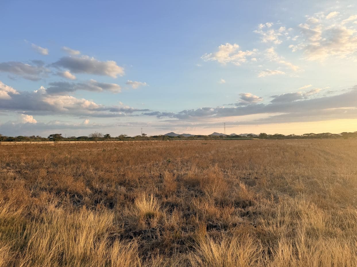 Agricultural Land for Sale in Abangares, Guanacaste – 8 Hectares, photo 11