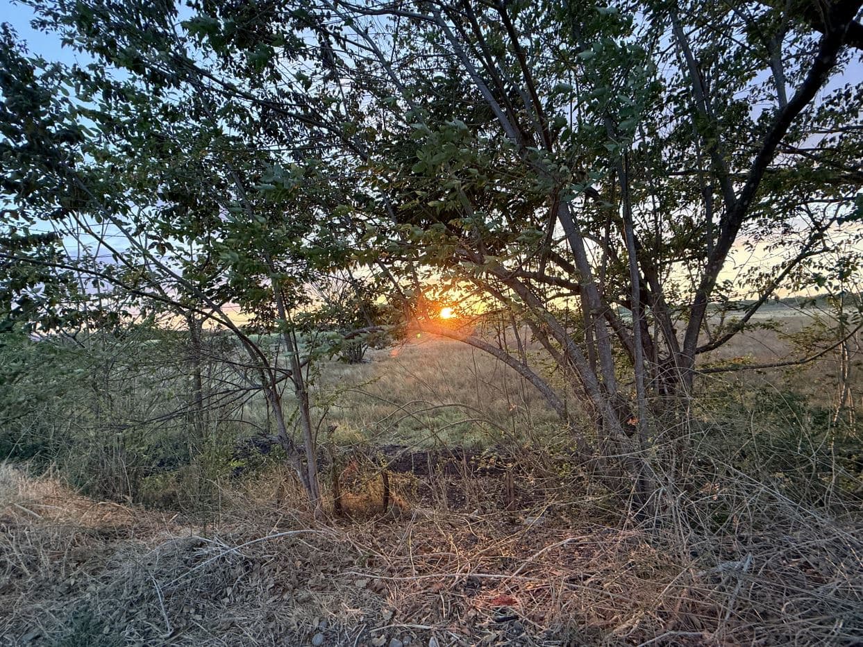 Agricultural Land for Sale in Abangares, Guanacaste – 8 Hectares, photo 25