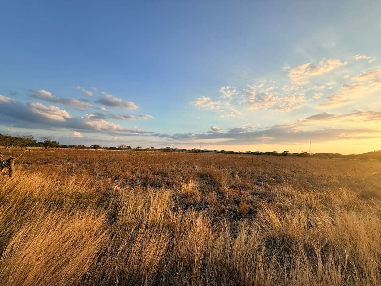 Agricultural Land for Sale in Abangares, Guanacaste – 8 Hectares, photo 8