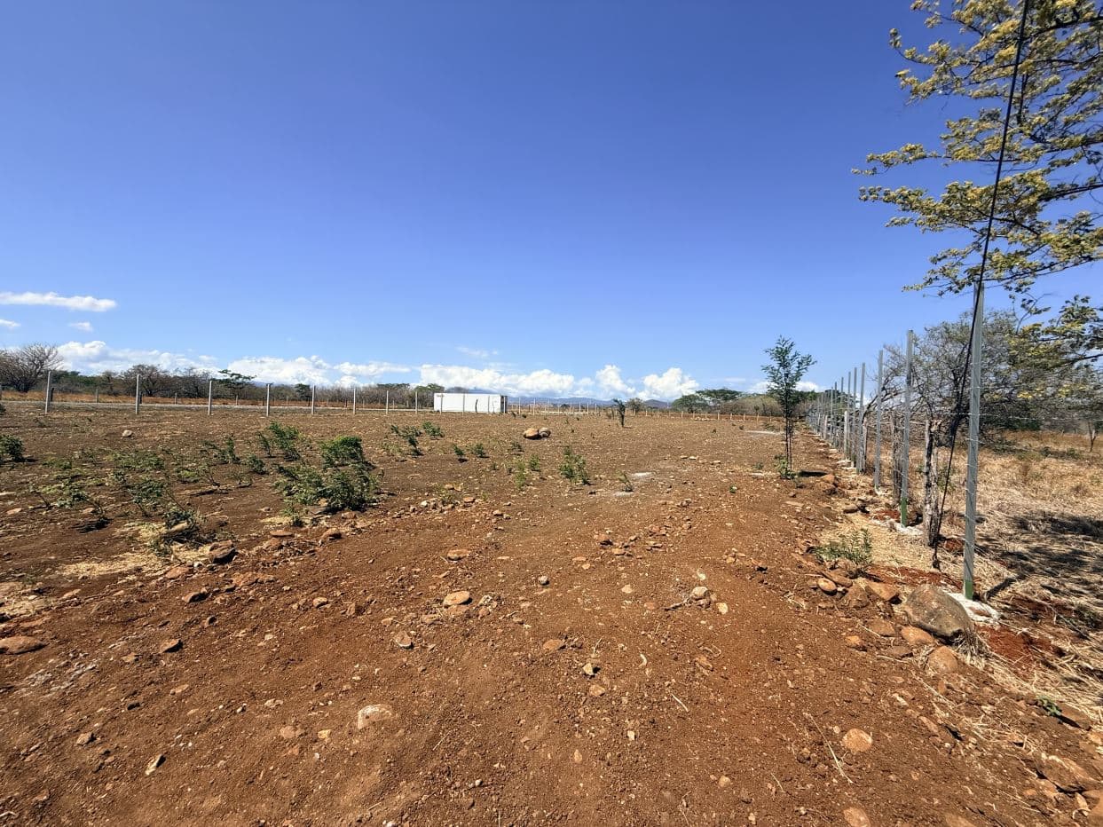 Lot for Sale in front of Private School, located in Cañas, Guanacaste., photo 4