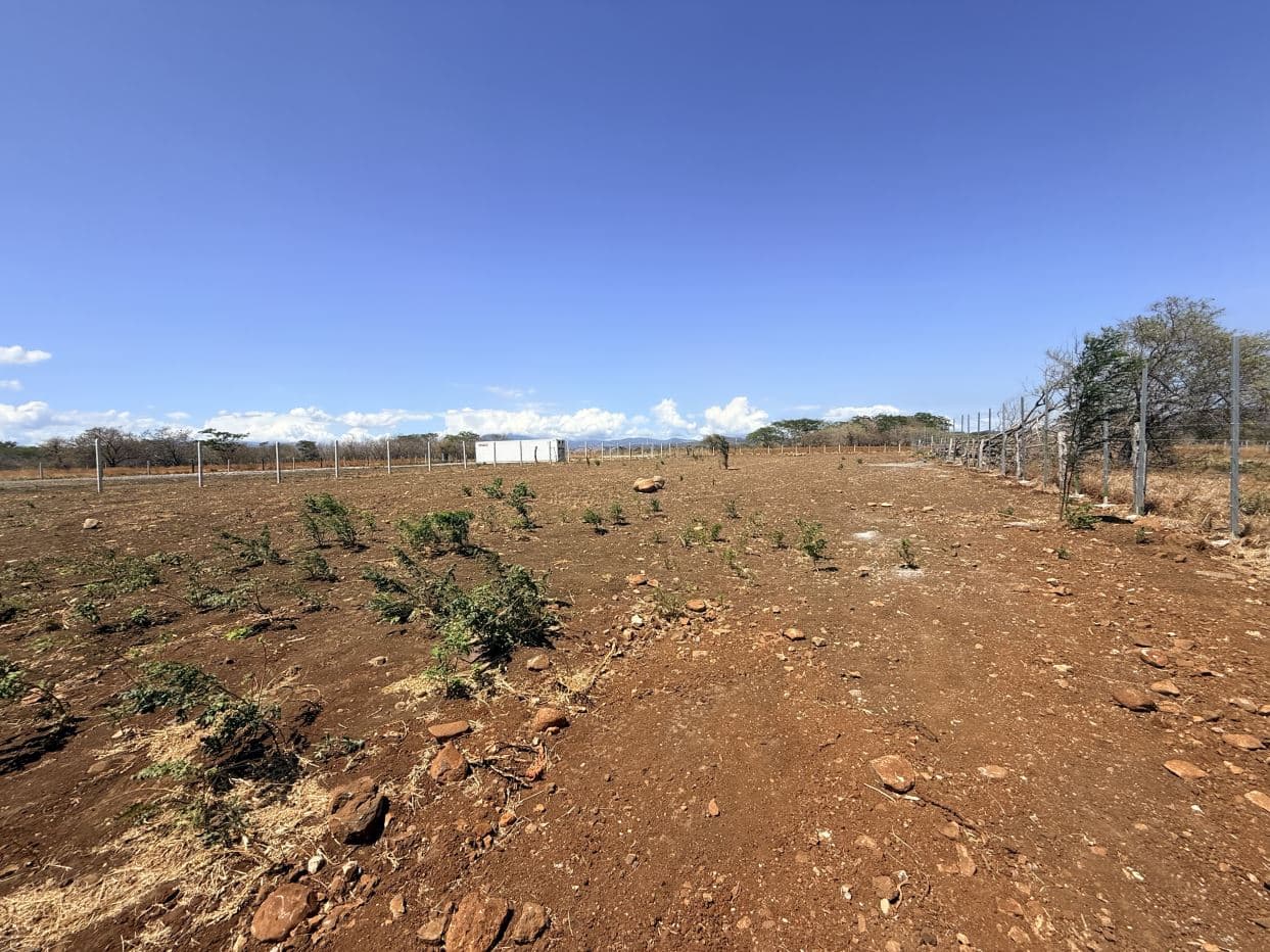 Lot for Sale in front of Private School, located in Cañas, Guanacaste., photo 5