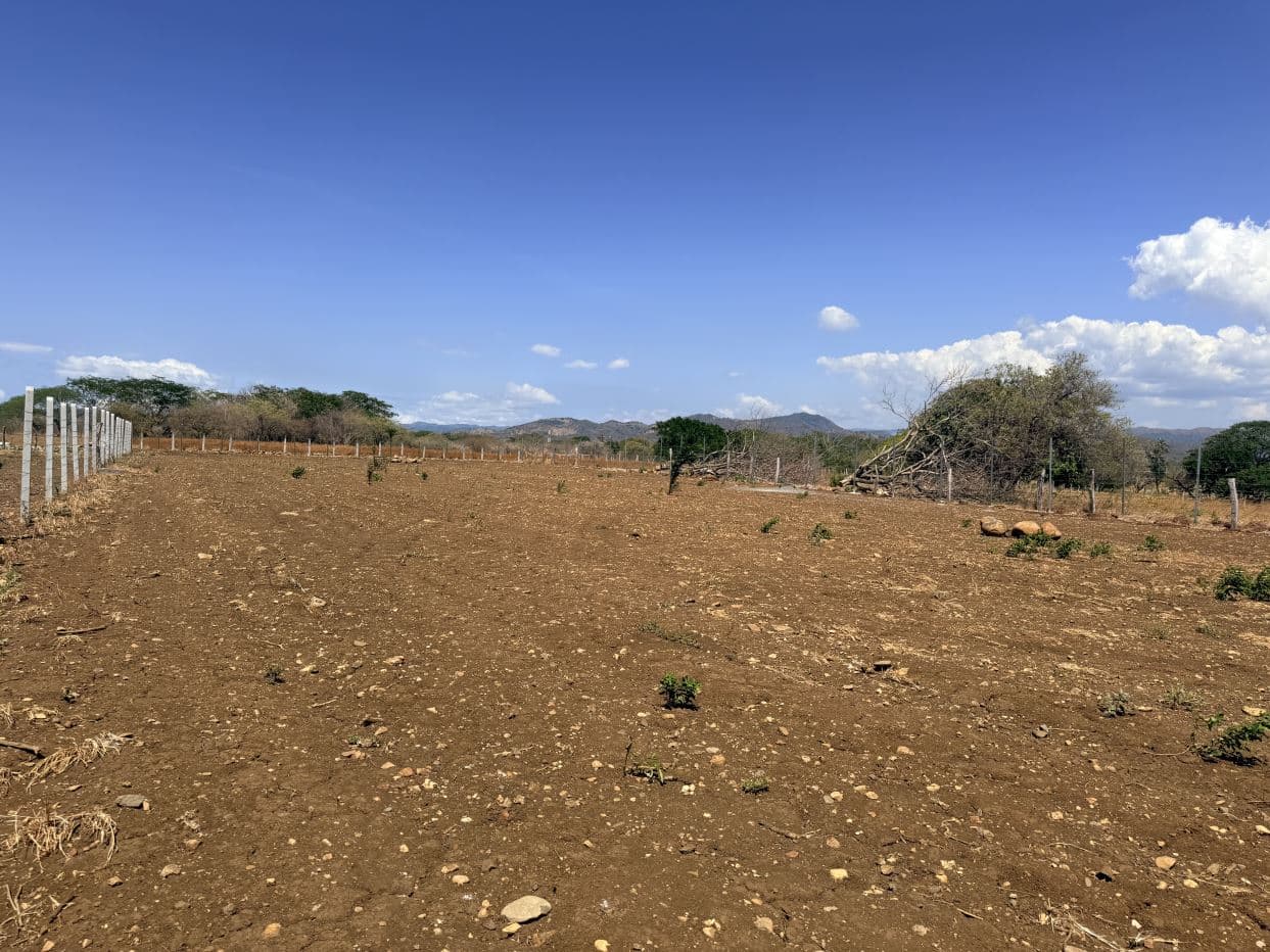 Lot for Sale in front of Private School, located in Cañas, Guanacaste., photo 7