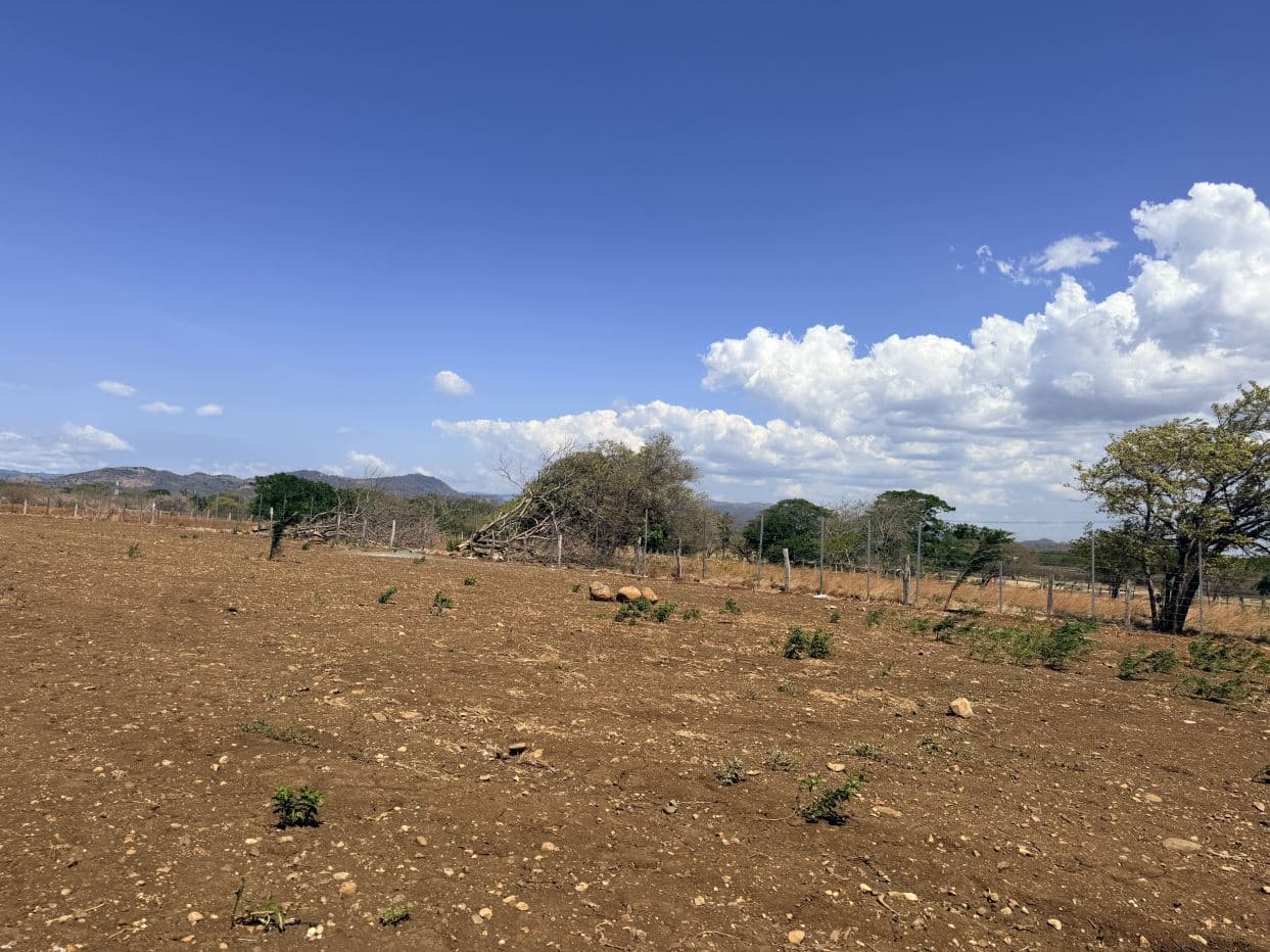 Lot for Sale in front of Private School, located in Cañas, Guanacaste., photo 8