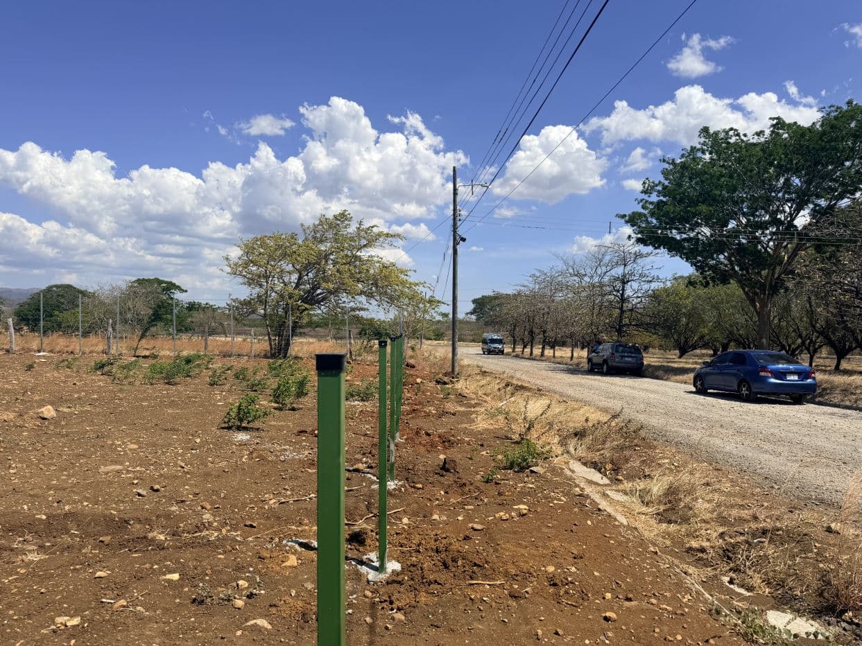 Lot for Sale in front of Private School, located in Cañas, Guanacaste., photo 2
