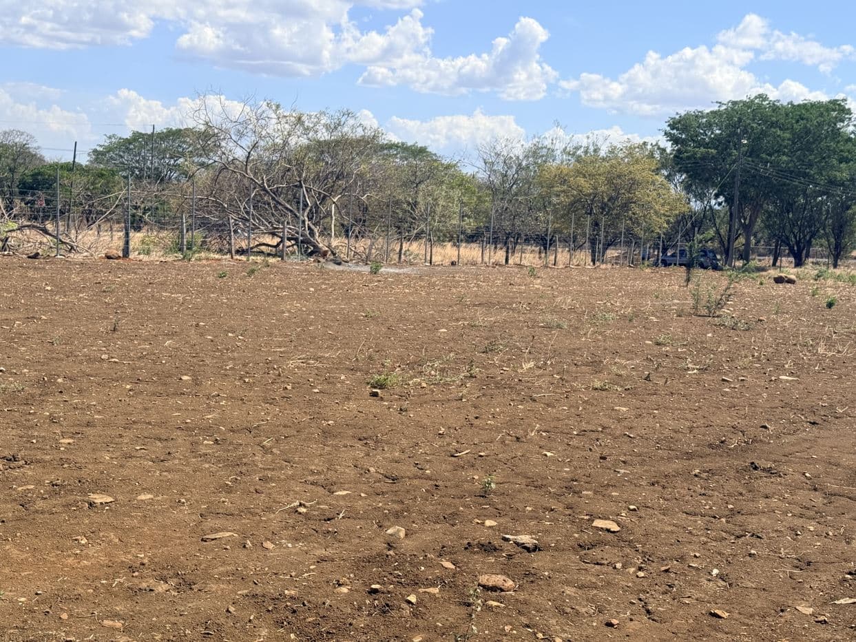 Lot for Sale in front of Private School, located in Cañas, Guanacaste., photo 14