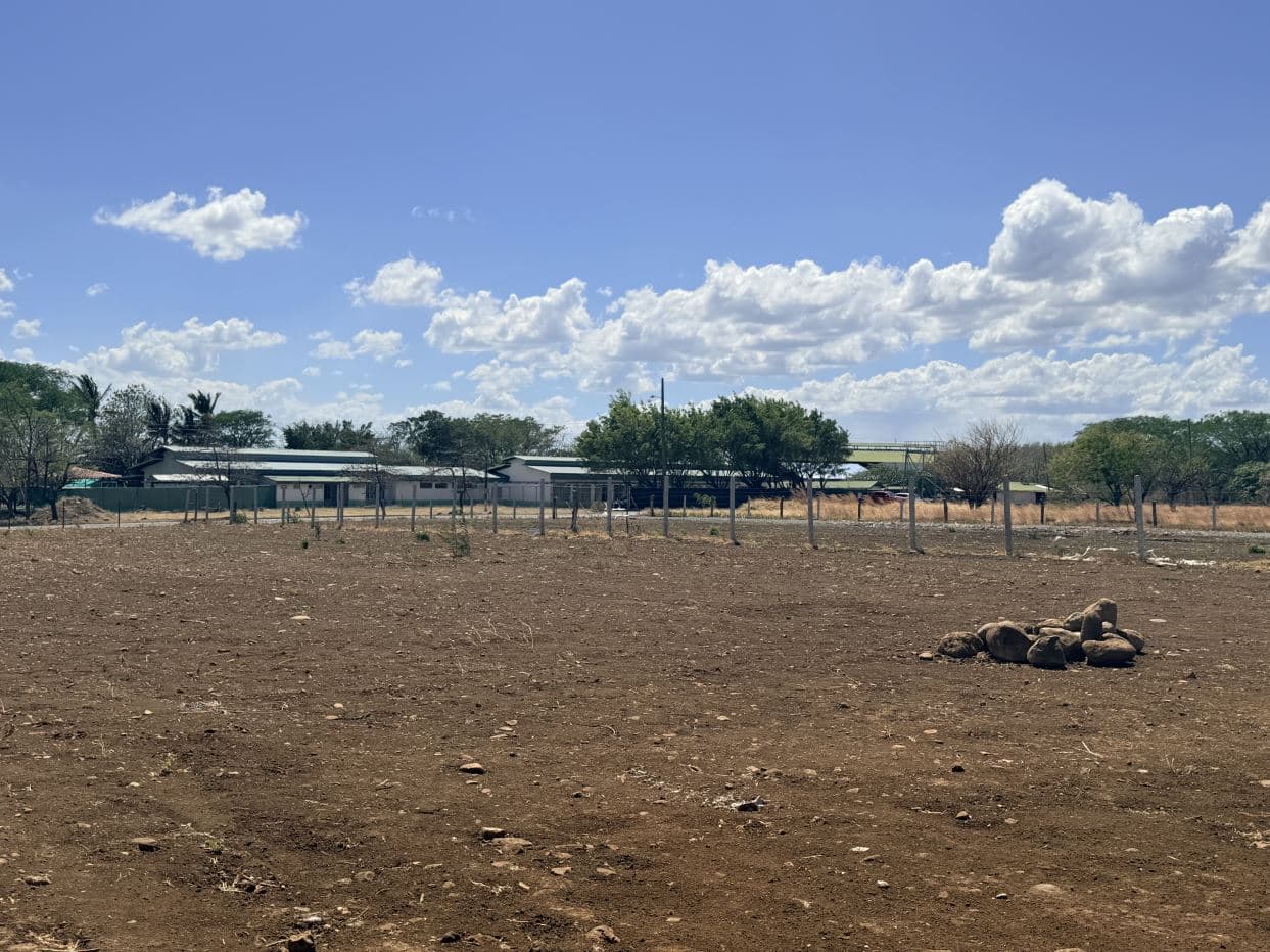 Lot for Sale in front of Private School, located in Cañas, Guanacaste., photo 9