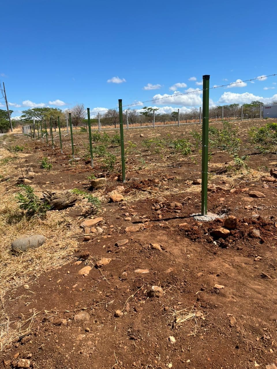 Lot for Sale in front of Private School, located in Cañas, Guanacaste., photo 3