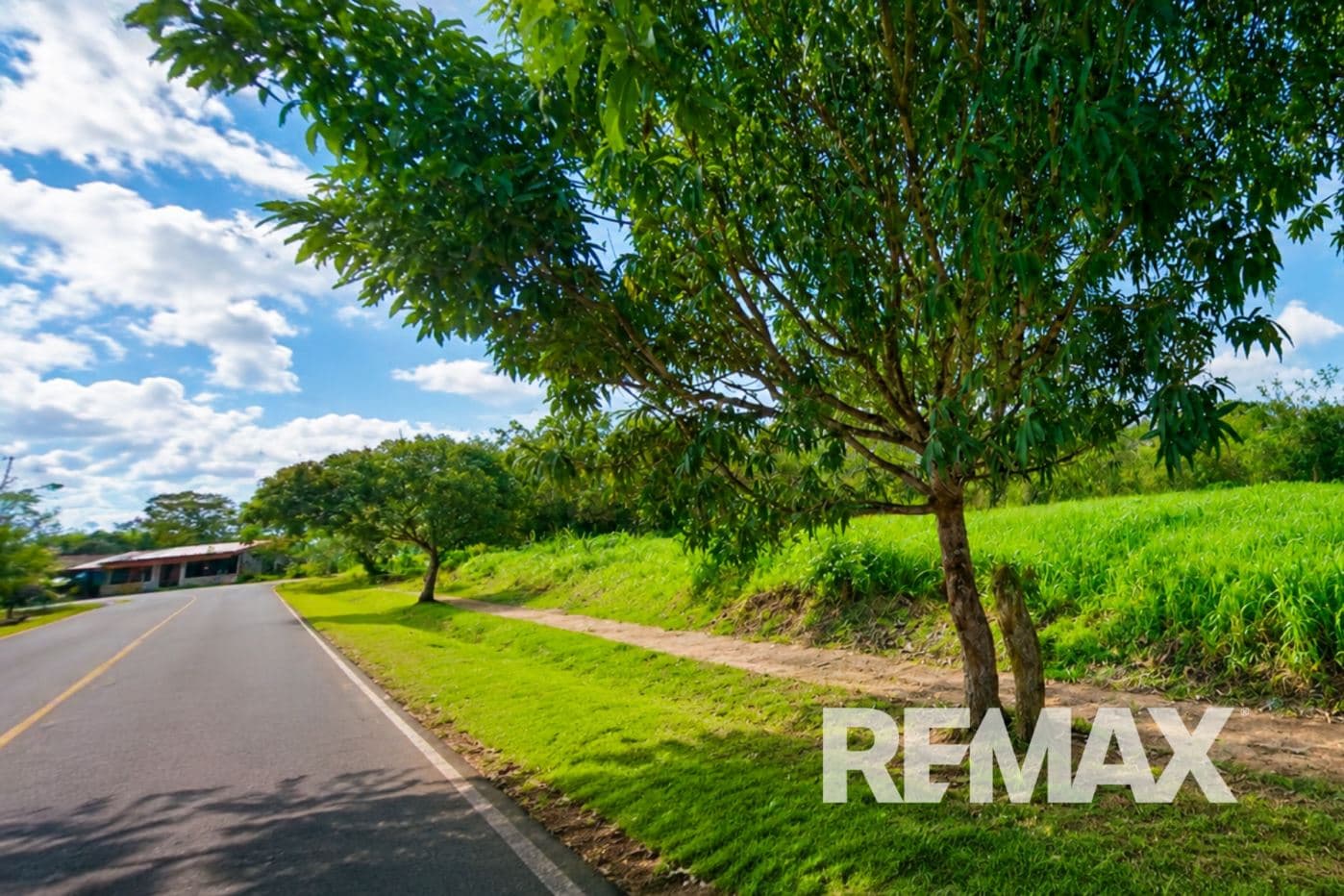 Estate Investment Opportunity in Downtown Upala, photo 6