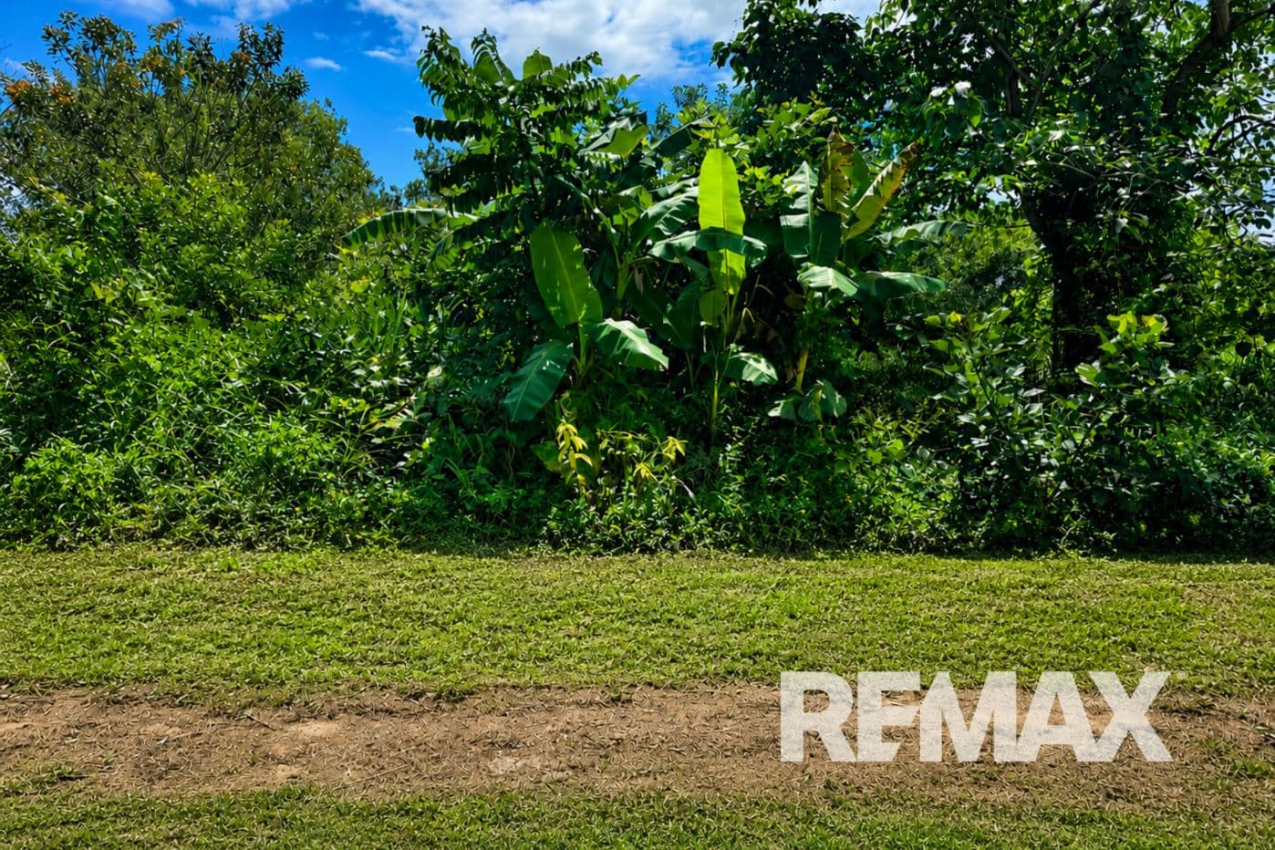 Estate Investment Opportunity in Downtown Upala, photo 7