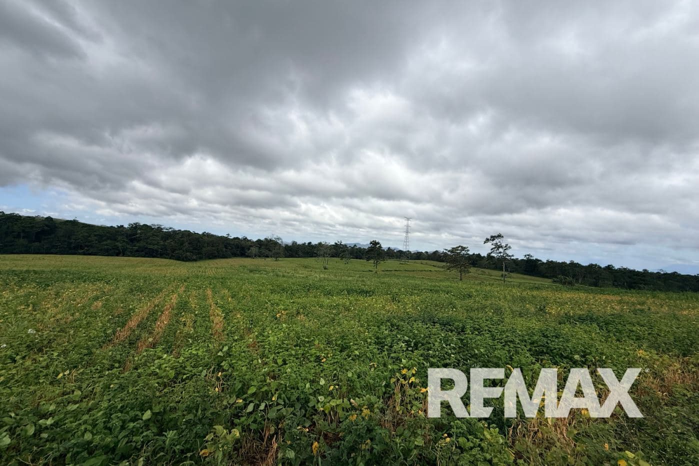 PRODUCTIVE FARM FOR SALE IN SANTA CECILIA, LA CRUZ – GUANACASTE, photo 5