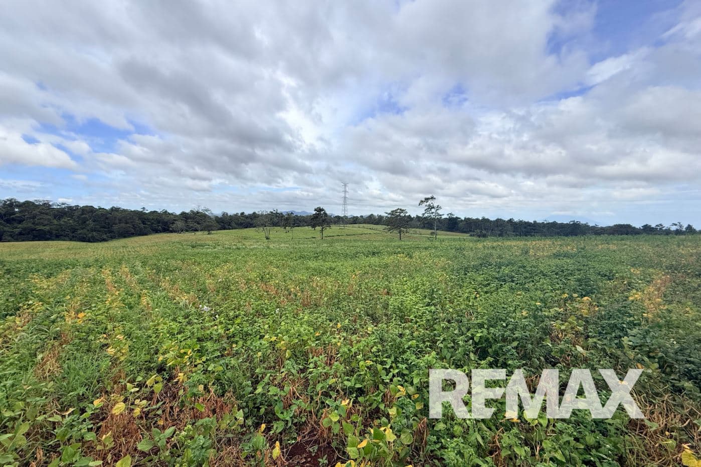 PRODUCTIVE FARM FOR SALE IN SANTA CECILIA, LA CRUZ – GUANACASTE, photo 6