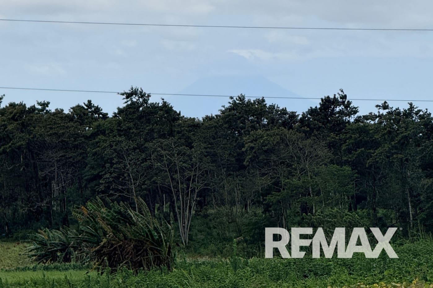 PRODUCTIVE FARM FOR SALE IN SANTA CECILIA, LA CRUZ – GUANACASTE, photo 24