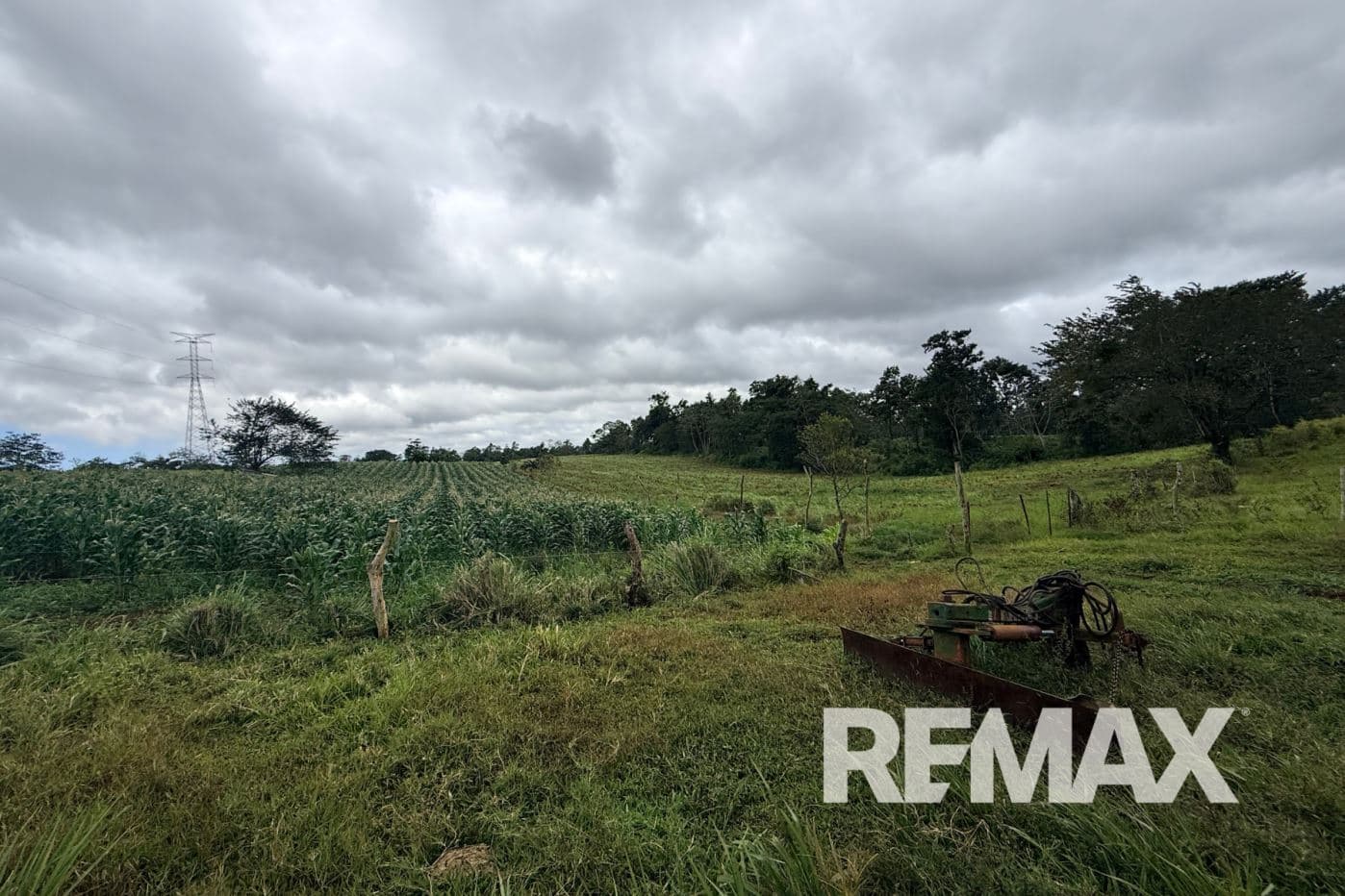 PRODUCTIVE FARM FOR SALE IN SANTA CECILIA, LA CRUZ – GUANACASTE, photo 9