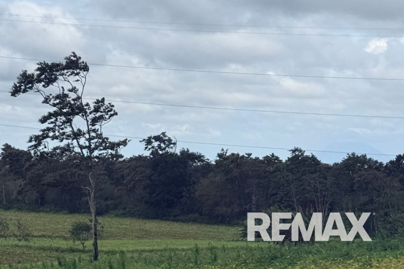 PRODUCTIVE FARM FOR SALE IN SANTA CECILIA, LA CRUZ – GUANACASTE, photo 10