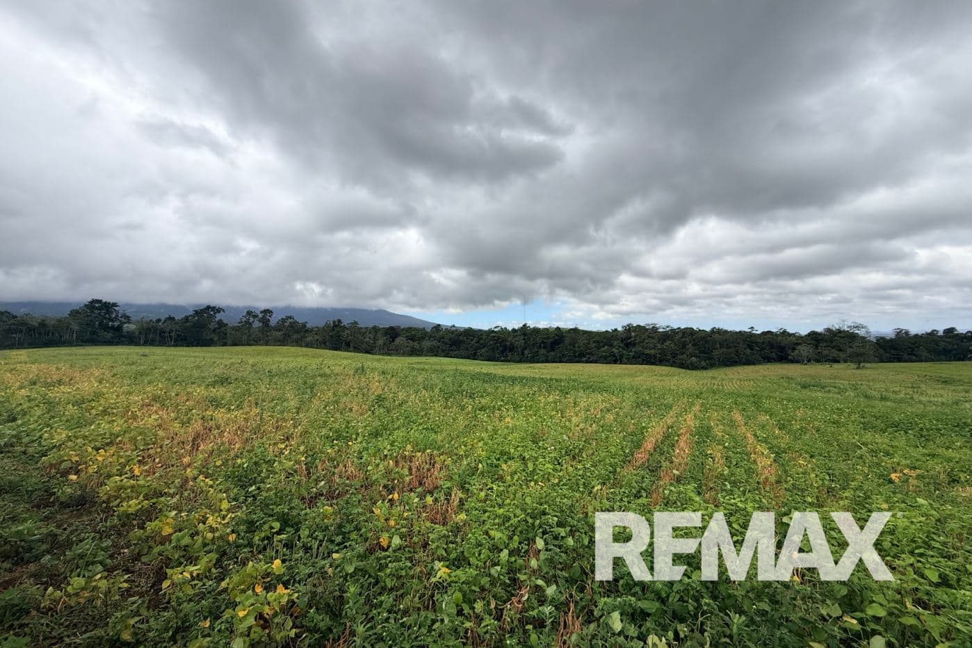 PRODUCTIVE FARM FOR SALE IN SANTA CECILIA, LA CRUZ – GUANACASTE, photo 13