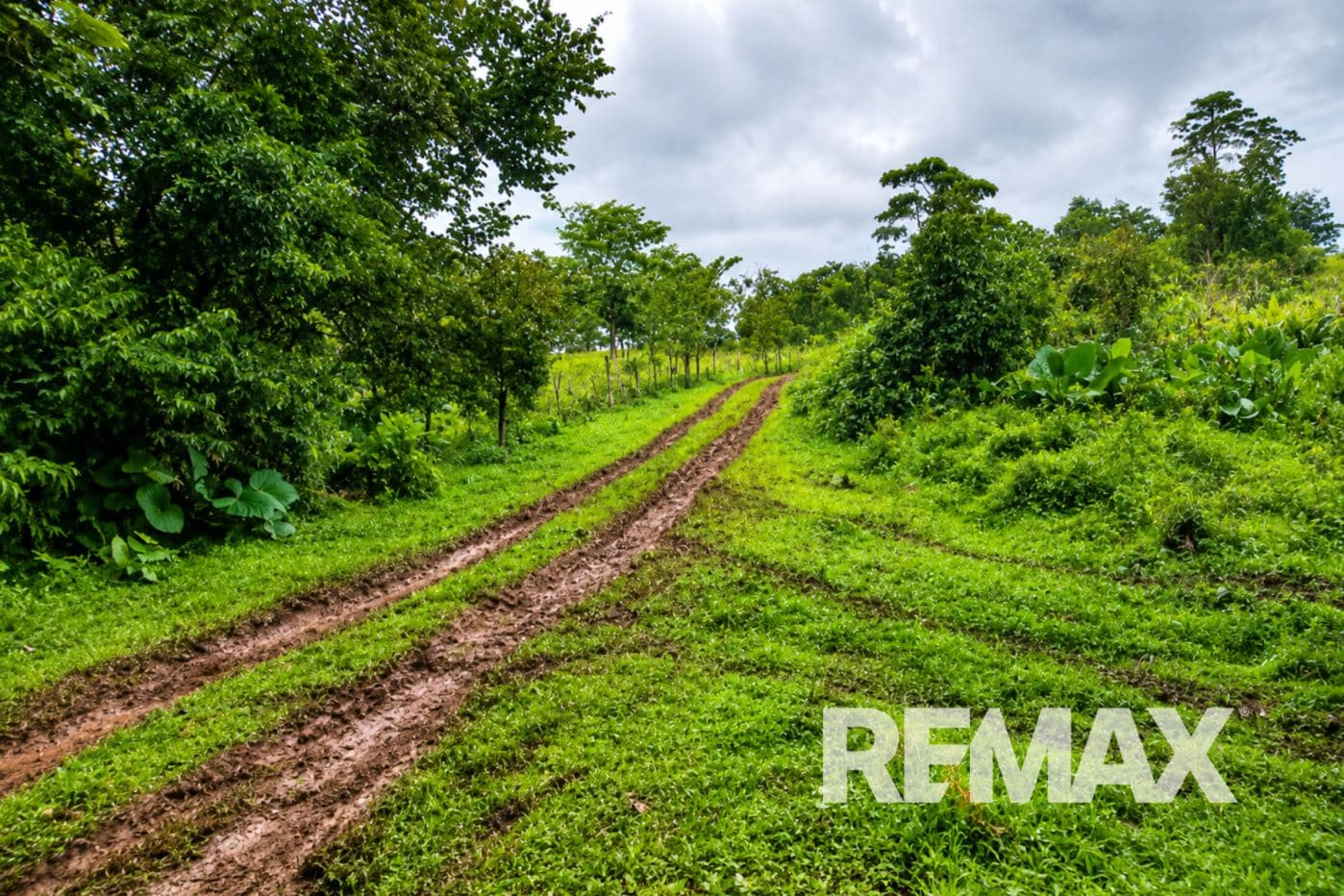 PRODUCTIVE FARM FOR SALE IN SANTA CECILIA, LA CRUZ – GUANACASTE, photo 12