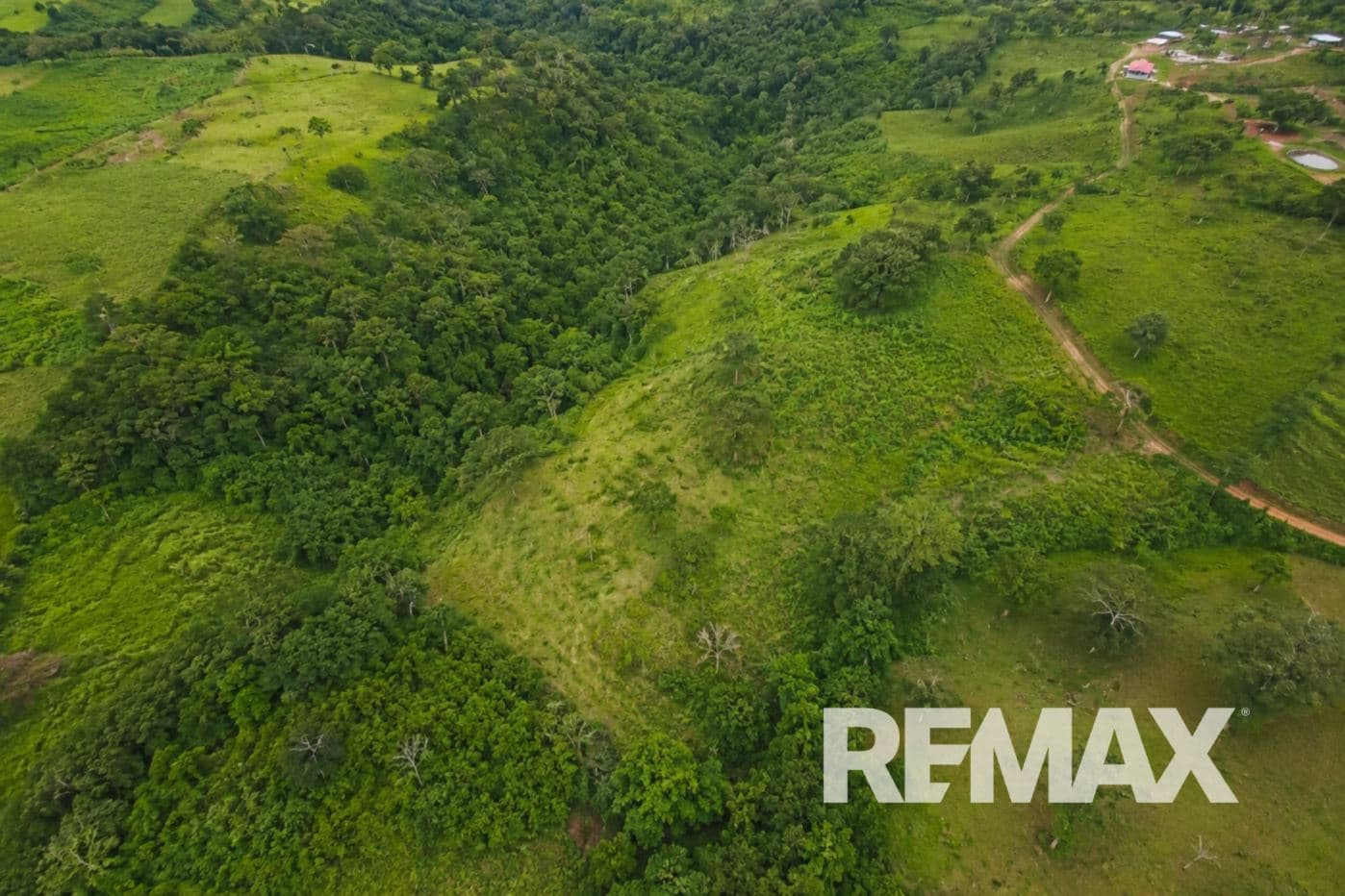 PRODUCTIVE FARM FOR SALE IN SANTA CECILIA, LA CRUZ – GUANACASTE, photo 23