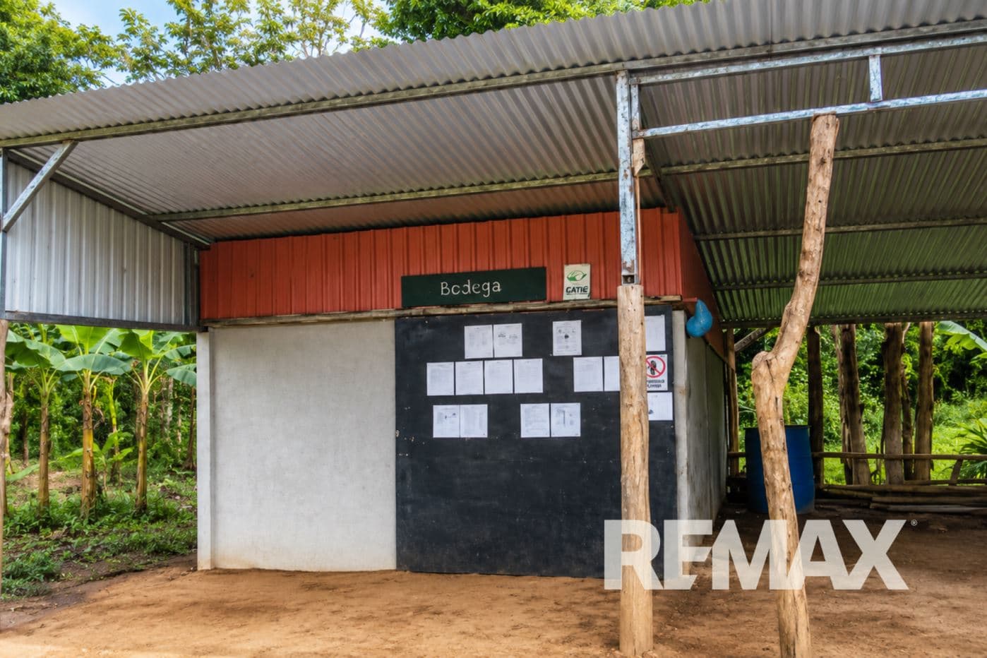 PRODUCTIVE FARM FOR SALE IN SANTA CECILIA, LA CRUZ – GUANACASTE, photo 16