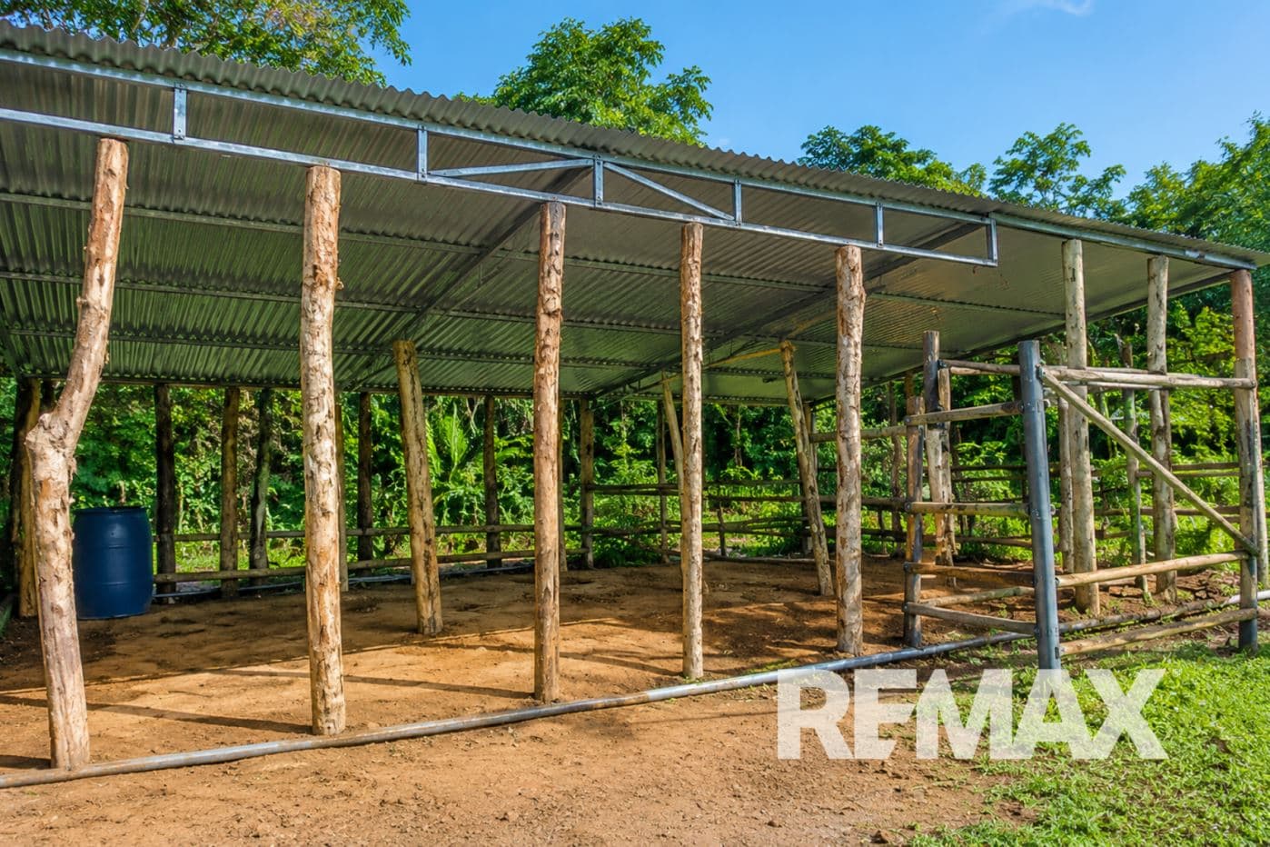 PRODUCTIVE FARM FOR SALE IN SANTA CECILIA, LA CRUZ – GUANACASTE, photo 19