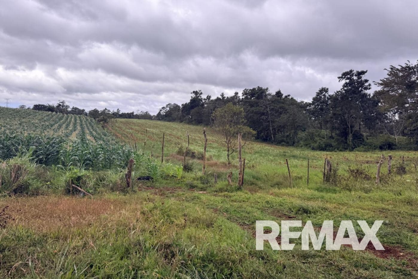 PRODUCTIVE FARM FOR SALE IN SANTA CECILIA, LA CRUZ – GUANACASTE, photo 7