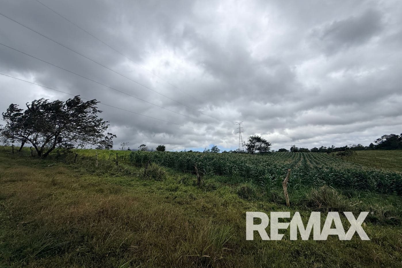 PRODUCTIVE FARM FOR SALE IN SANTA CECILIA, LA CRUZ – GUANACASTE, photo 22
