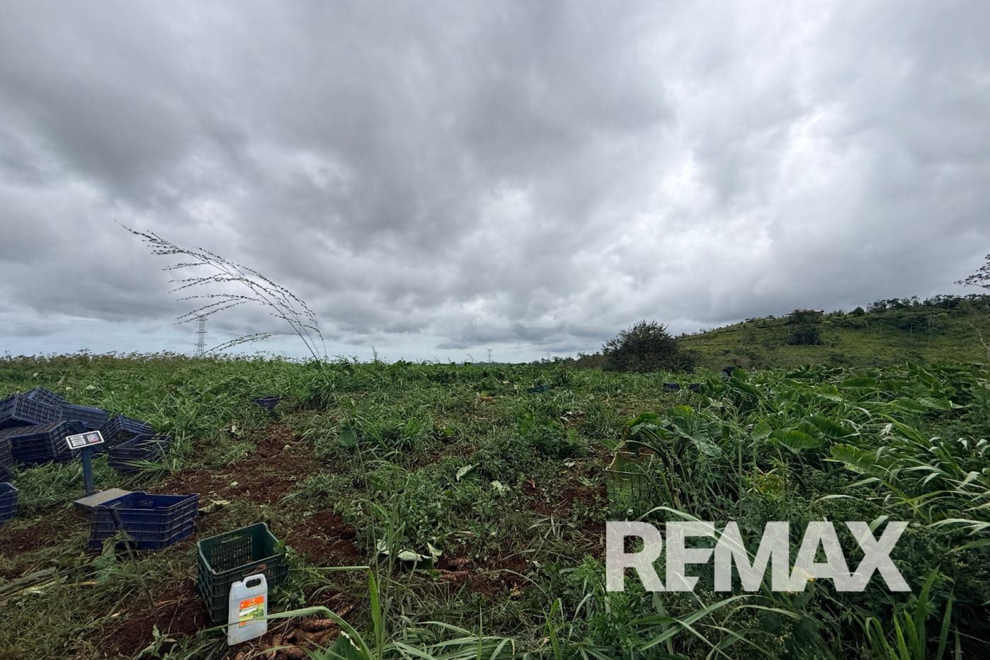PRODUCTIVE FARM FOR SALE IN SANTA CECILIA, LA CRUZ – GUANACASTE, photo 20