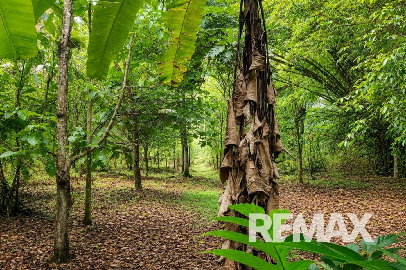 HOME FOR SALE IN LLANO AZUL, UPALA, COSTA RICA, photo 20