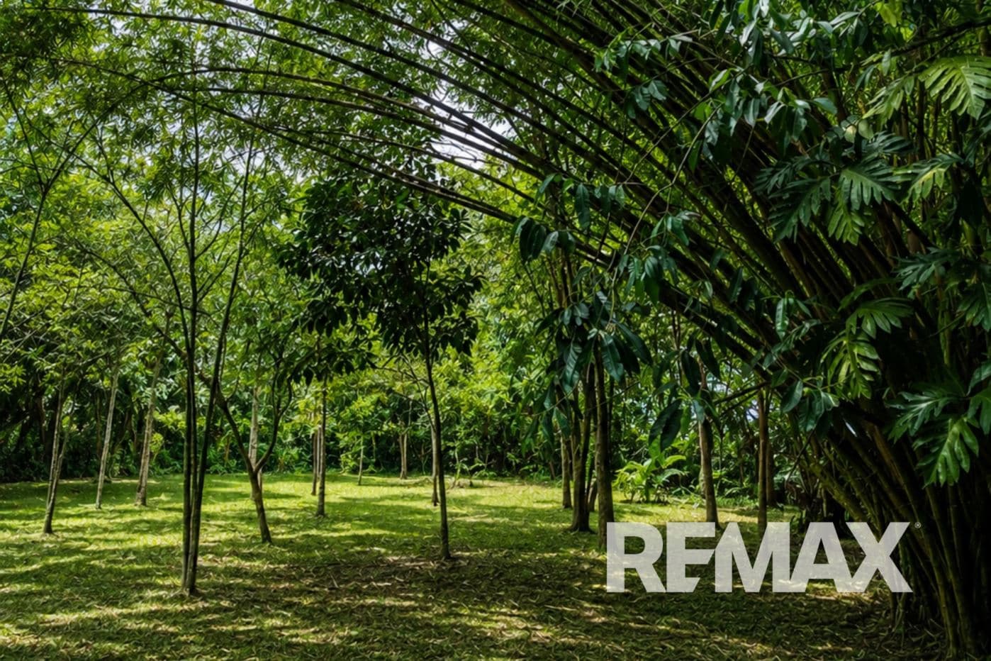 HOME FOR SALE IN LLANO AZUL, UPALA, COSTA RICA, photo 27